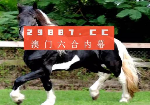 澳门和香港精准一肖一码一一中,精选解释解析落实|最佳精选