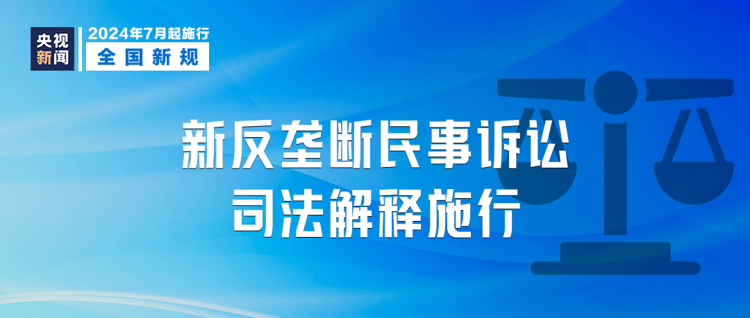 新澳最精准正最精准,使用释义解释落实|使用释义