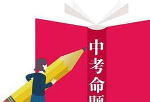 一肖一码一一肖一子深圳,精选解析解释落实|最佳精选