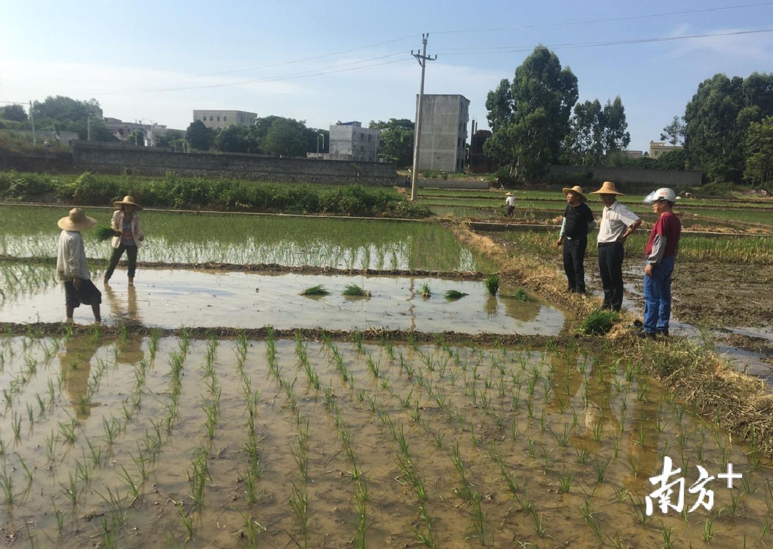 电白汽修招工信息最新招聘电白汽修招工信息最新招聘——探寻汽车维修行业的机遇与挑战