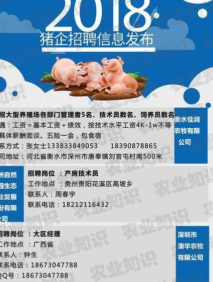 沧州饲料人才网最新招聘沧州饲料人才网最新招聘动态及行业趋势分析